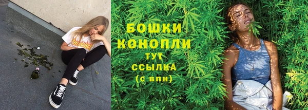 ешки Алексеевка