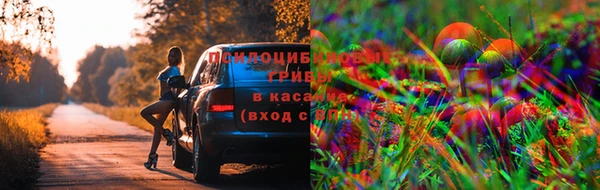 MDMA Алзамай
