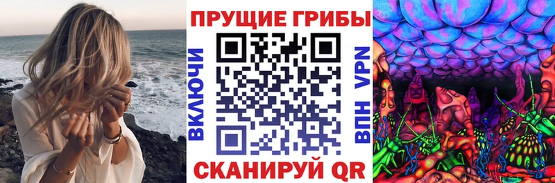 Галлюциногенные грибы Cubensis  Поронайск 